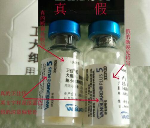 如何辨別輝瑞衛佳疫苗真假？(圖3)