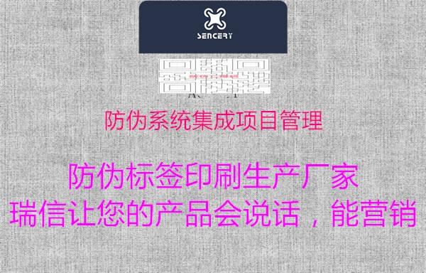 防偽系統集成項目管理1.jpg