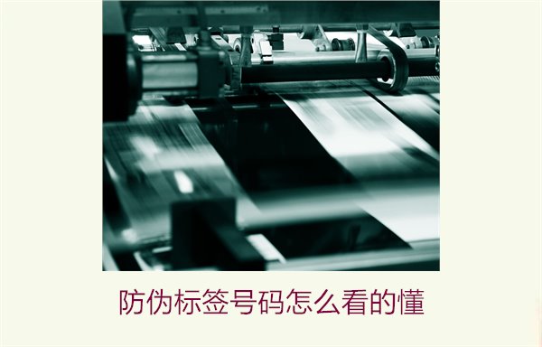 防偽標簽號碼怎么看的懂？詳細解析防偽標簽號碼的識別方法與技巧(圖1)