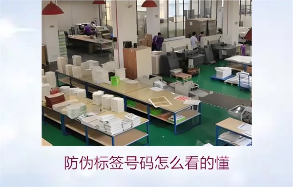 防偽標簽號碼怎么看的懂？詳細解析防偽標簽號碼的識別方法與技巧(圖2)